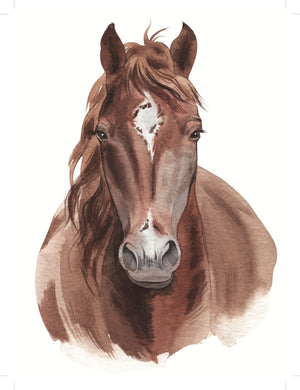 Wild Horse Rub-on Transfers-Rub-on Transfer-Essential Stencil