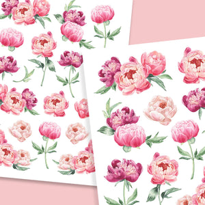 Spring Peonies Rub-on Transfer-Rub-on Transfer-Essential Stencil