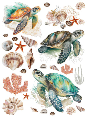 Sea Turtles and Shells Rub-on Transfer-Rub-on Transfer-Essential Stencil