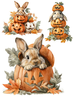 Hoppy Halloween Rub-on Transfer Set-Rub-on Transfer-Essential Stencil