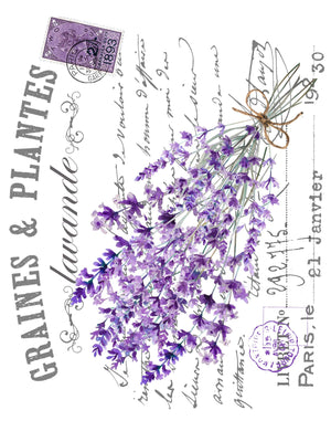 Lavande en Fleur (Lavender in Bloom) Rub-on Transfer Set-Rub-on Transfer-Essential Stencil