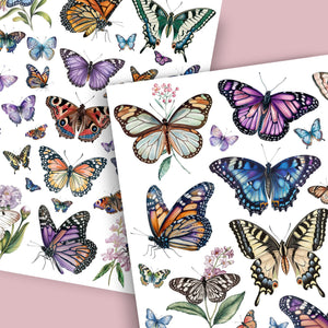 Wings of Wonder Butterfly Rub-on Transfer Set-Rub-on Transfer-Essential Stencil