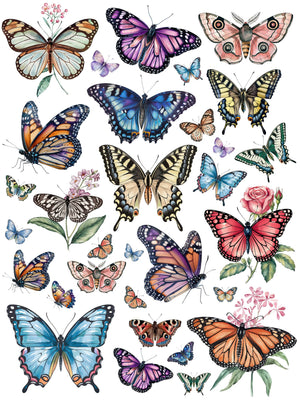 Wings of Wonder Butterfly Rub-on Transfer Set-Rub-on Transfer-Essential Stencil