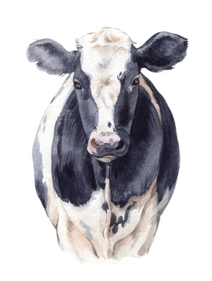 Large Highland and Holstein Cow Rub-on Transfer Set-Rub-on Transfer-Essential Stencil