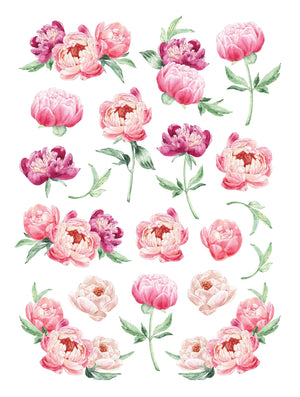 Spring Peonies Rub-on Transfer-Rub-on Transfer-Essential Stencil