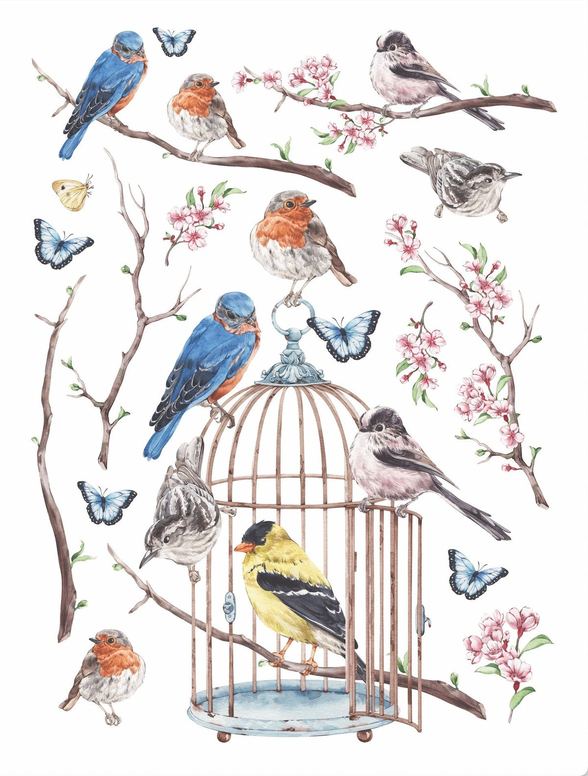 Vintage Birds Rub-on Transfer Set-Rub-on Transfer-Essential Stencil