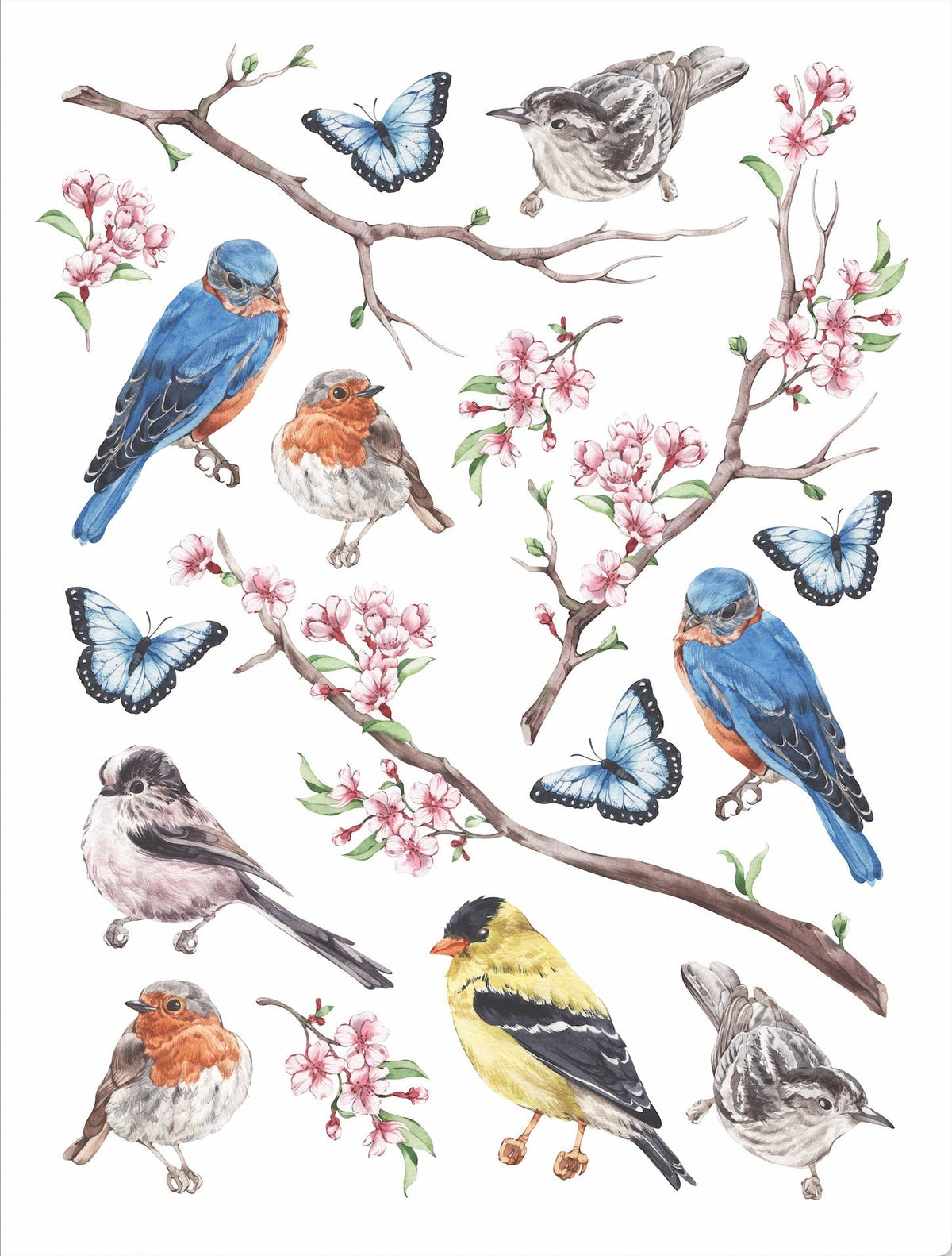 Vintage Birds Rub-on Transfer Set-Rub-on Transfer-Essential Stencil