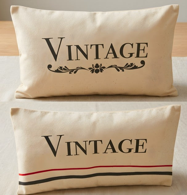 One Stencil, Two Stunning Pillow Styles 🎨🛋️
