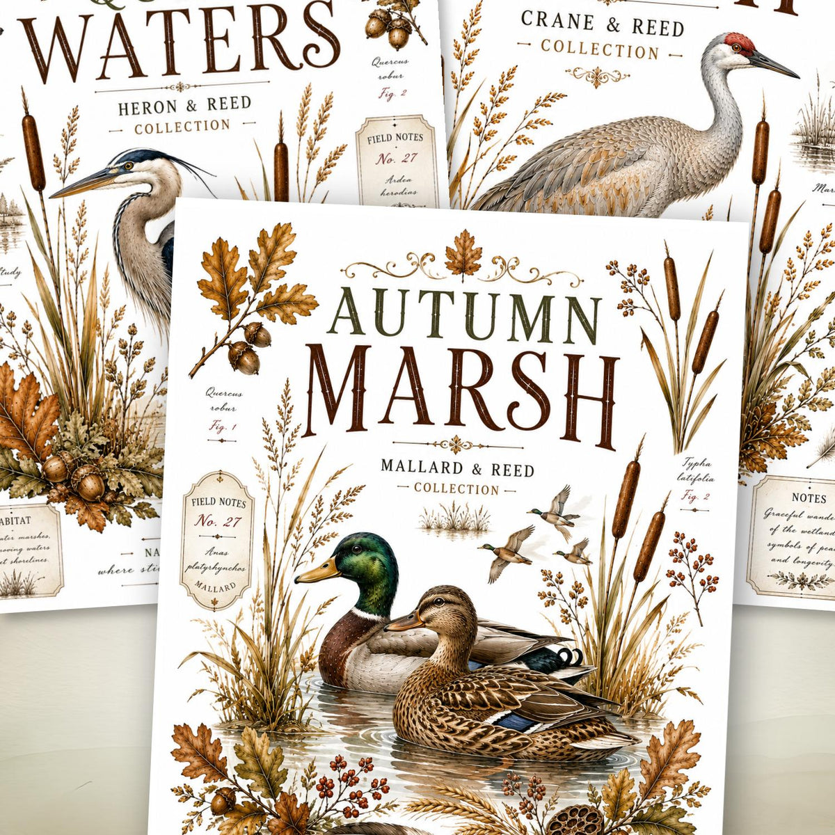 Autumn Marshlands Transfer Set-Rub-on Transfer-Essential Stencil
