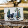 Layered Forest Bear
