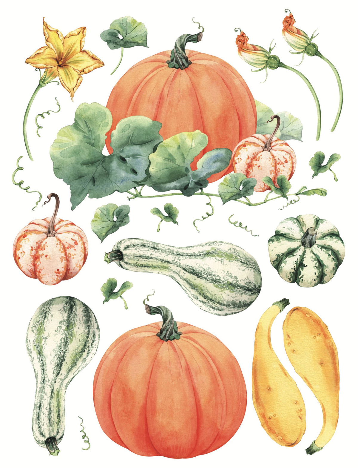 Pumpkin Harvest Rub-on Transfer-Rub-on Transfer-Essential Stencil