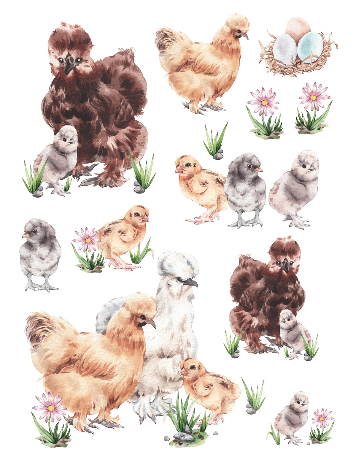 Silkie Chicken Rub-on Transfers-Rub-on Transfer-Essential Stencil