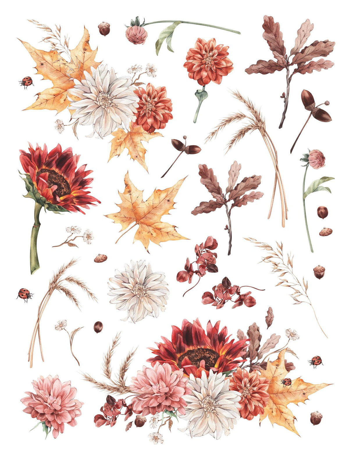 Autumn Flower Rub-on Transfer Set-Rub-on Transfer-Essential Stencil