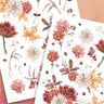 Autumn Flower