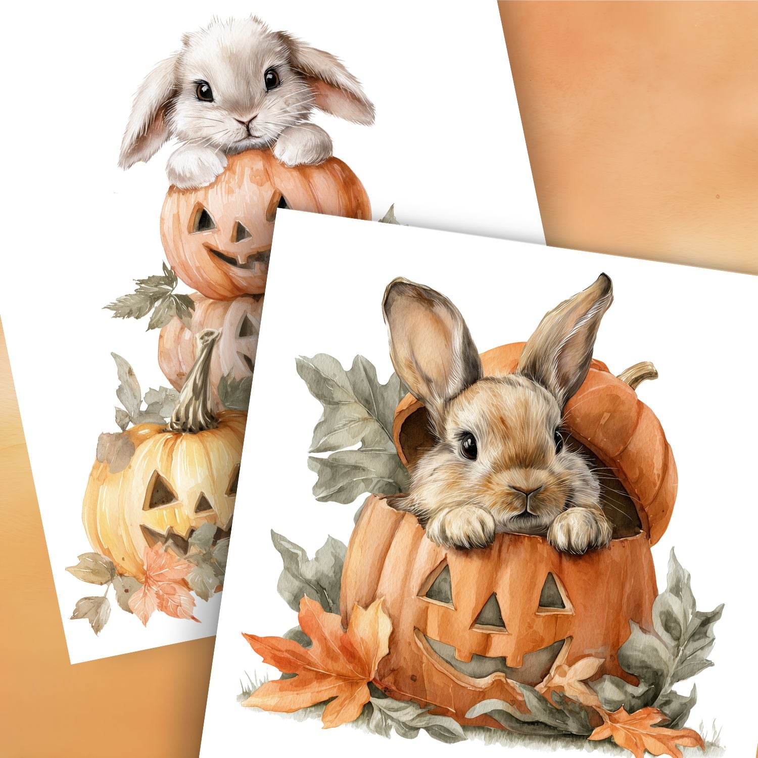 Hoppy Halloween Rub-on Transfer Set-Rub-on Transfer-Essential Stencil