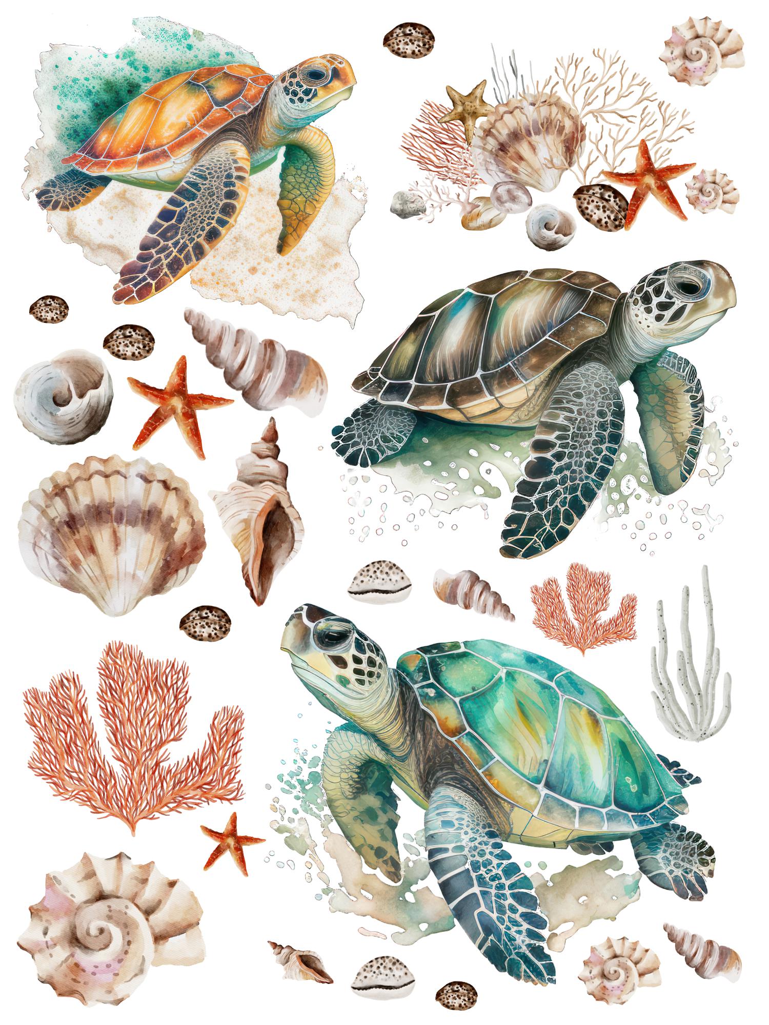 Turtle Shell Back Print Sea Turtles and Shells Rub-on Transfer - Essential Stencil