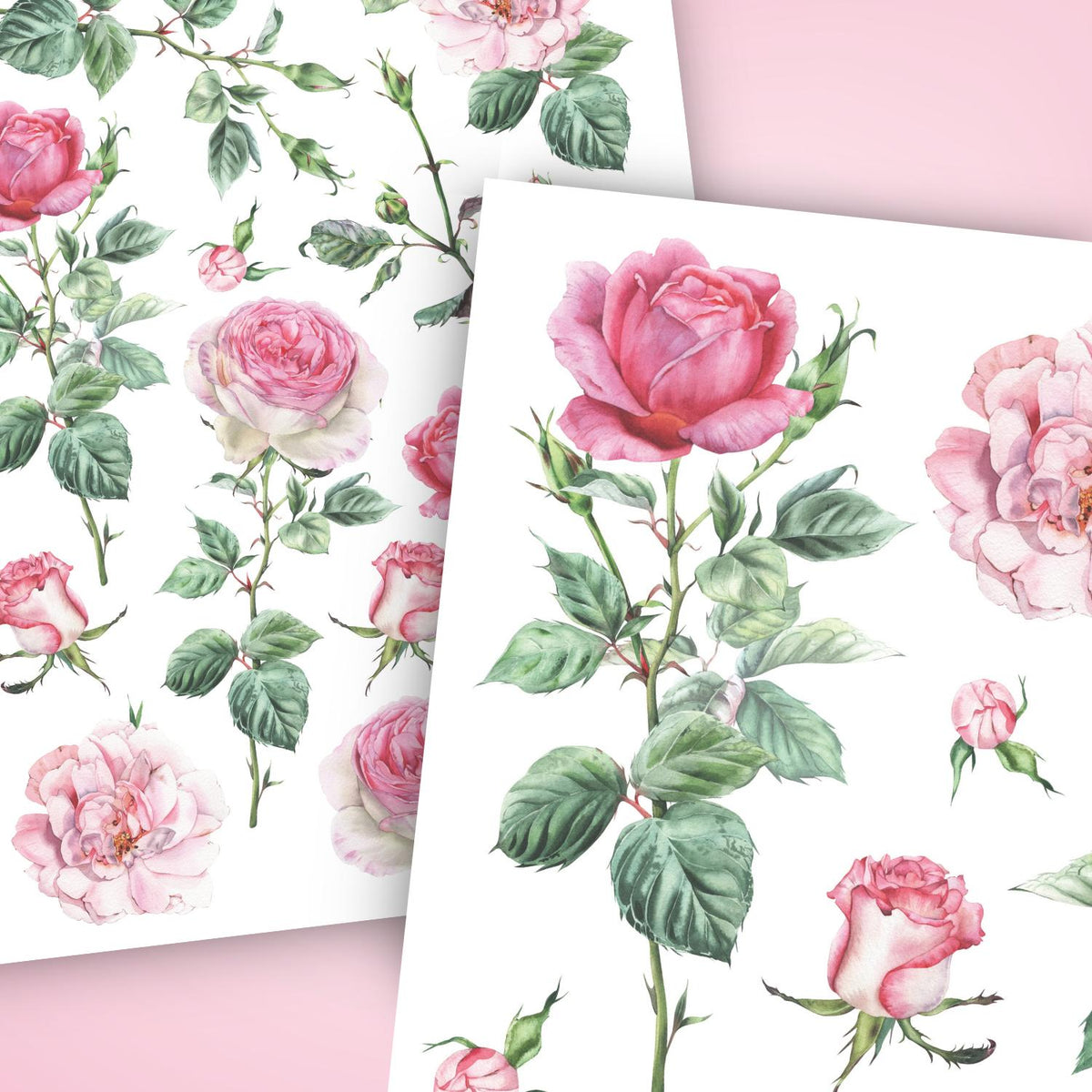 Pink Roses Rub-On Transfer Set-Rub-on Transfer-Essential Stencil