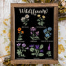 Wildflowers