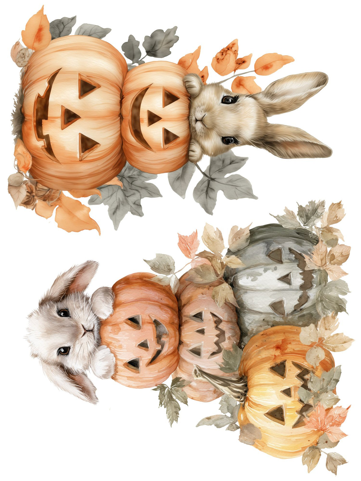 Hoppy Halloween Rub-on Transfer Set-Rub-on Transfer-Essential Stencil