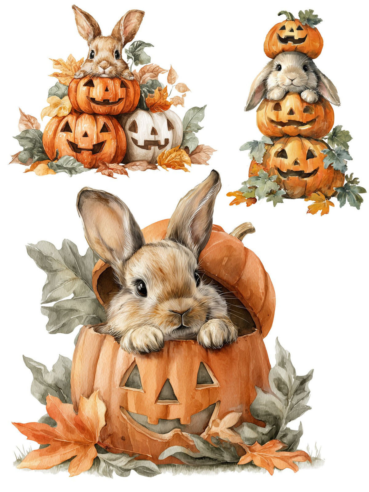 Hoppy Halloween Rub-on Transfer Set-Rub-on Transfer-Essential Stencil