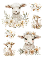 Lambs & Lilies Rub-On Transfer Set-Rub-on Transfer-Essential Stencil