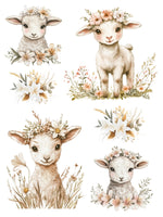 Lambs & Lilies Rub-On Transfer Set-Rub-on Transfer-Essential Stencil