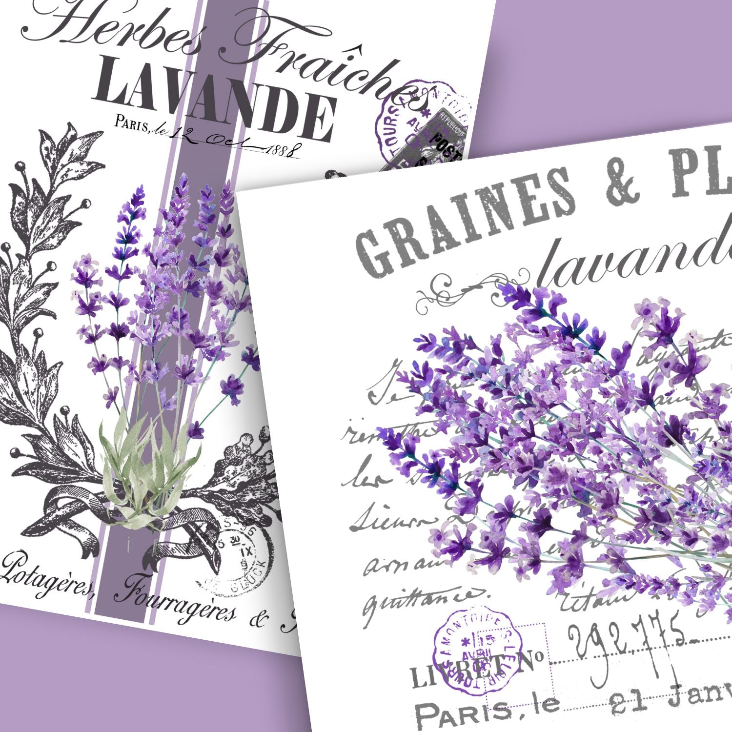 Lavande en Fleur (Lavender in Bloom) Rub-on Transfer Set