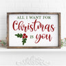 All I Want for Christmas is you Stencil