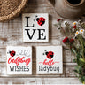 Ladybug Wishes