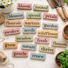 Spring Words Set