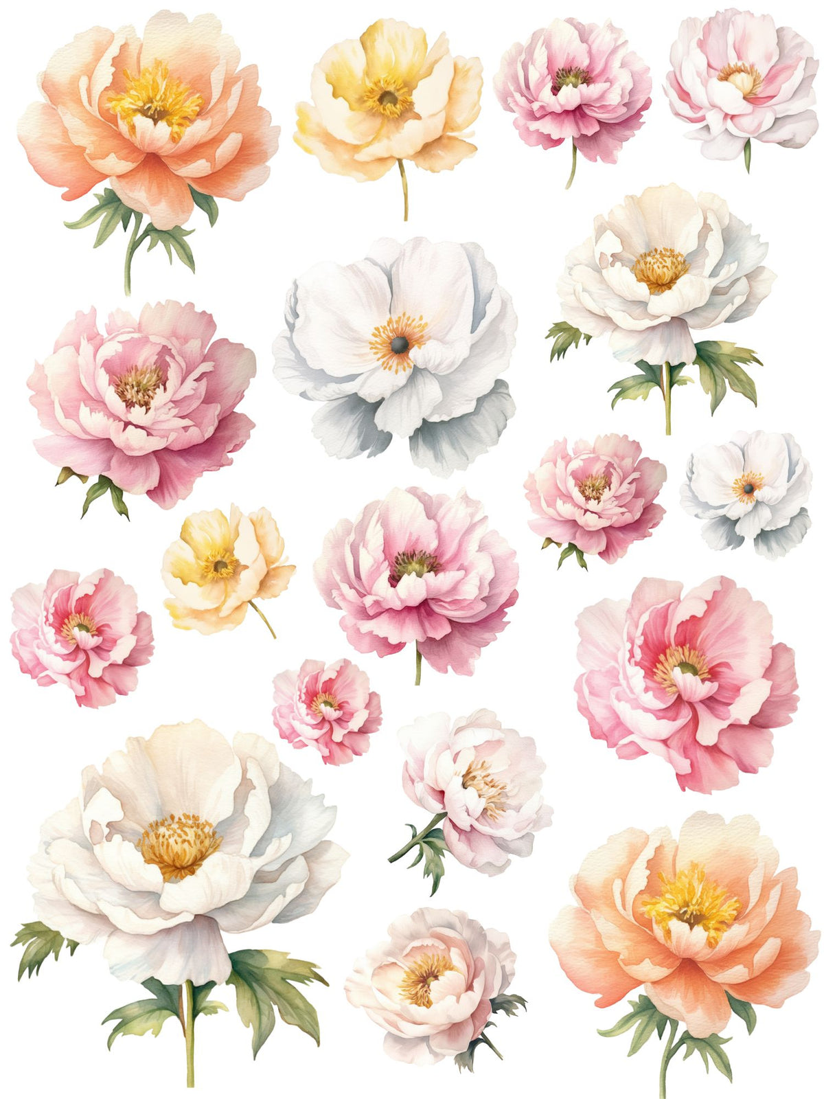 Peonies in Bloom Rub-on Transfer Set-Rub-on Transfer-Essential Stencil