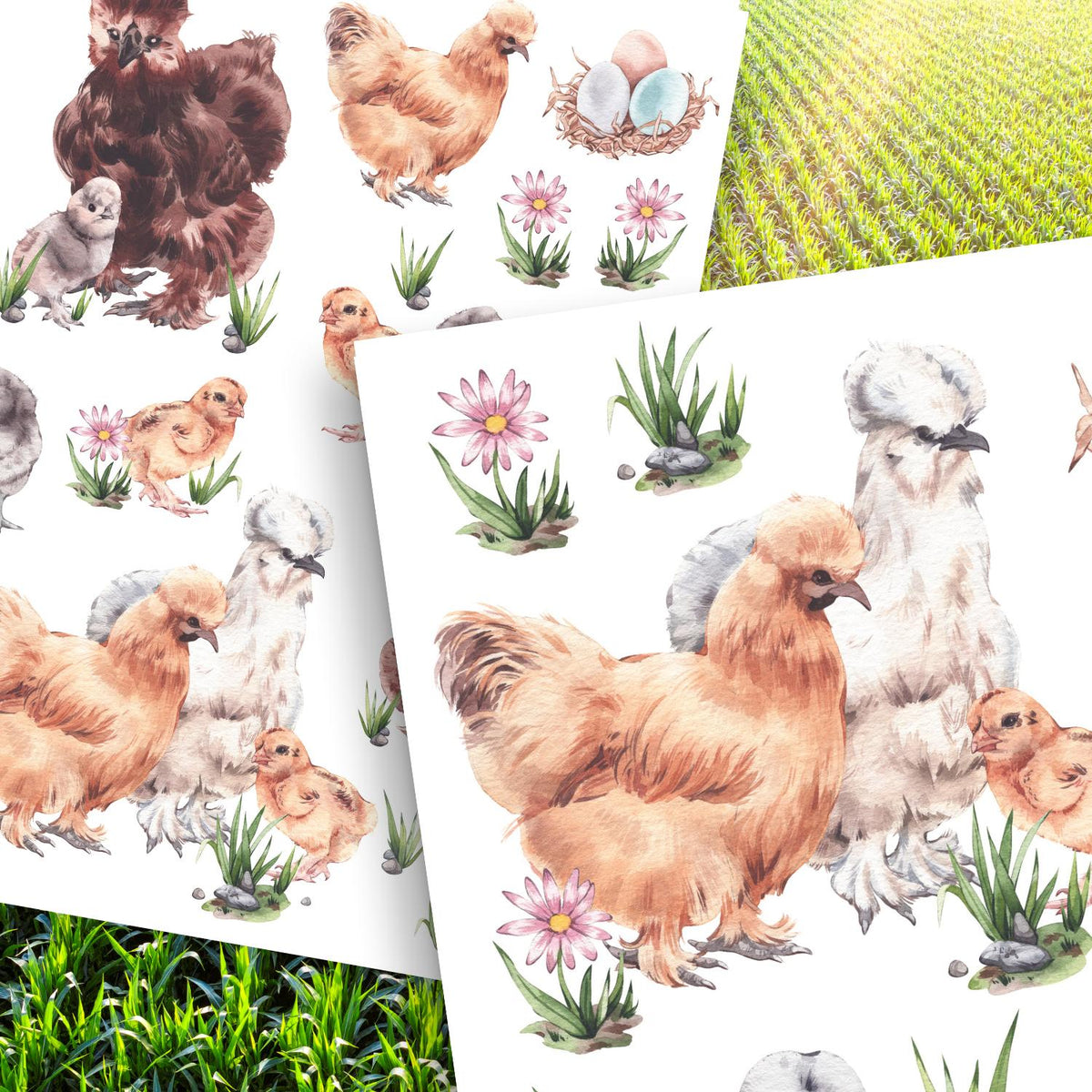 Silkie Chicken Rub-on Transfers-Rub-on Transfer-Essential Stencil