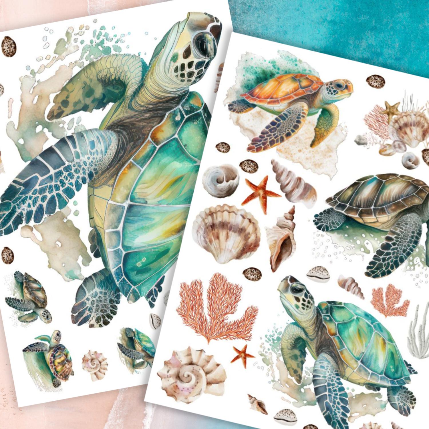 Sea Turtles and Shells Rub-on Transfer-Rub-on Transfer-Essential Stencil