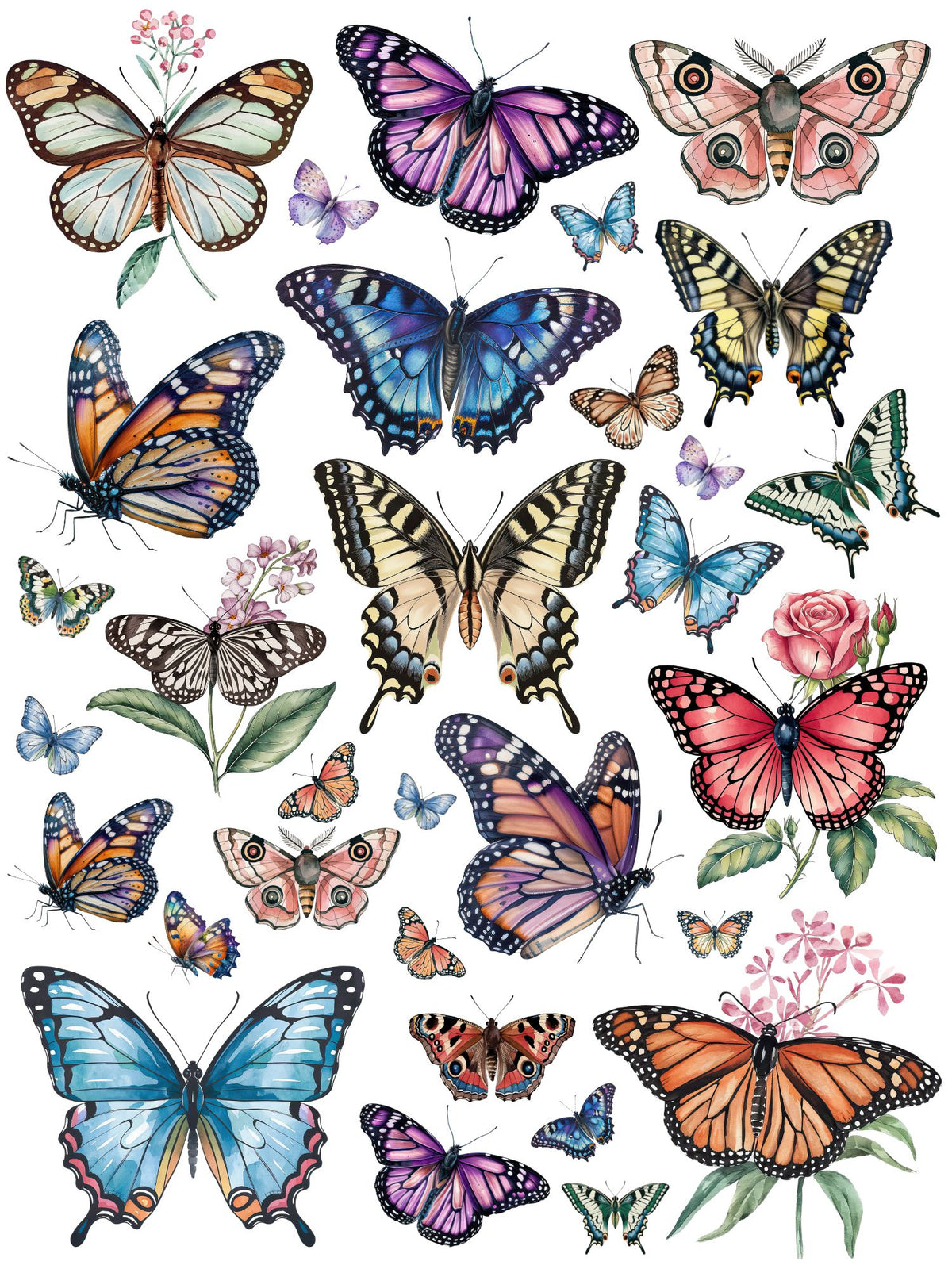 Wings of Wonder Butterfly Rub-on Transfer Set-Rub-on Transfer-Essential Stencil