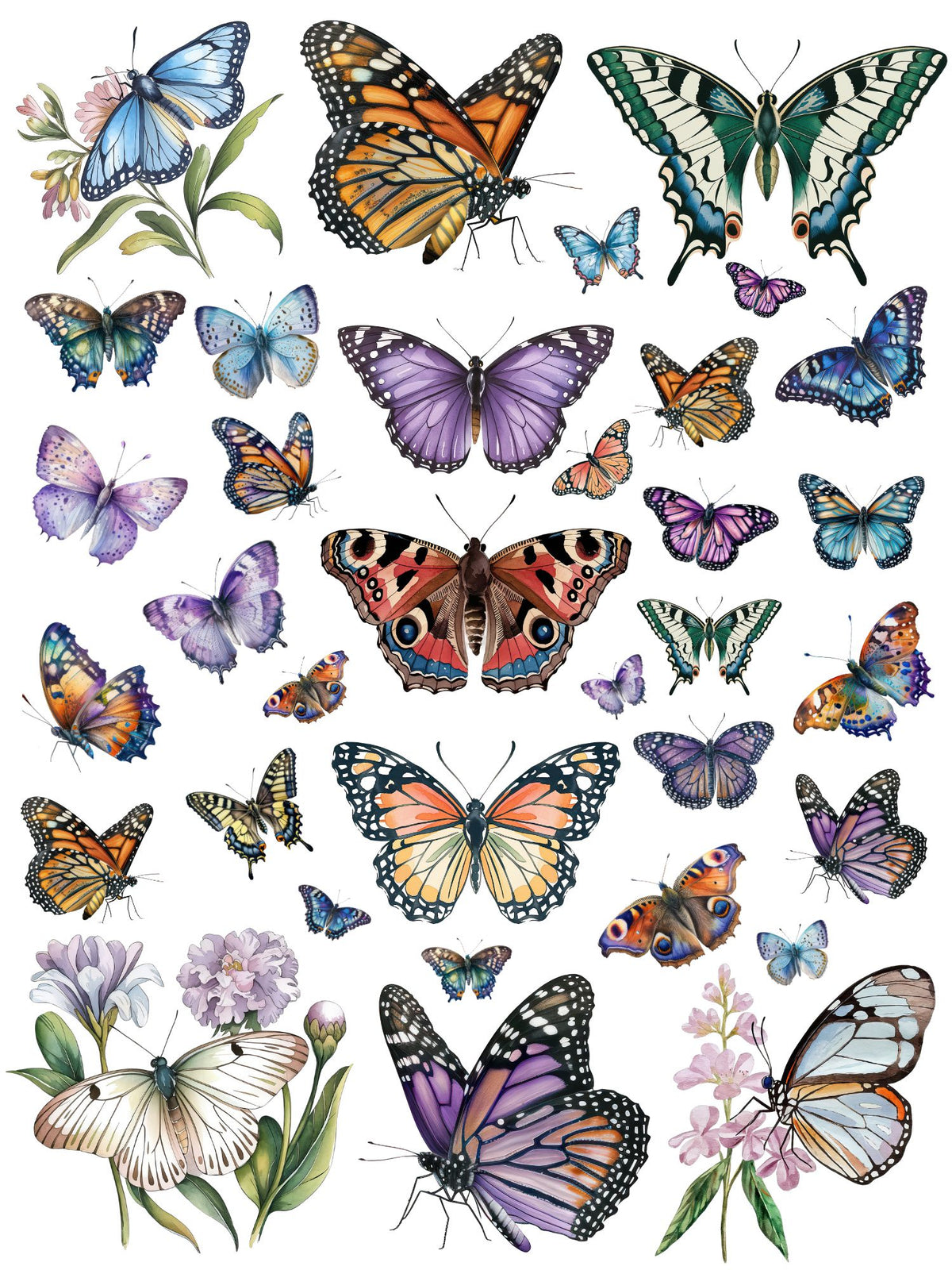 Wings of Wonder Butterfly Rub-on Transfer Set-Rub-on Transfer-Essential Stencil