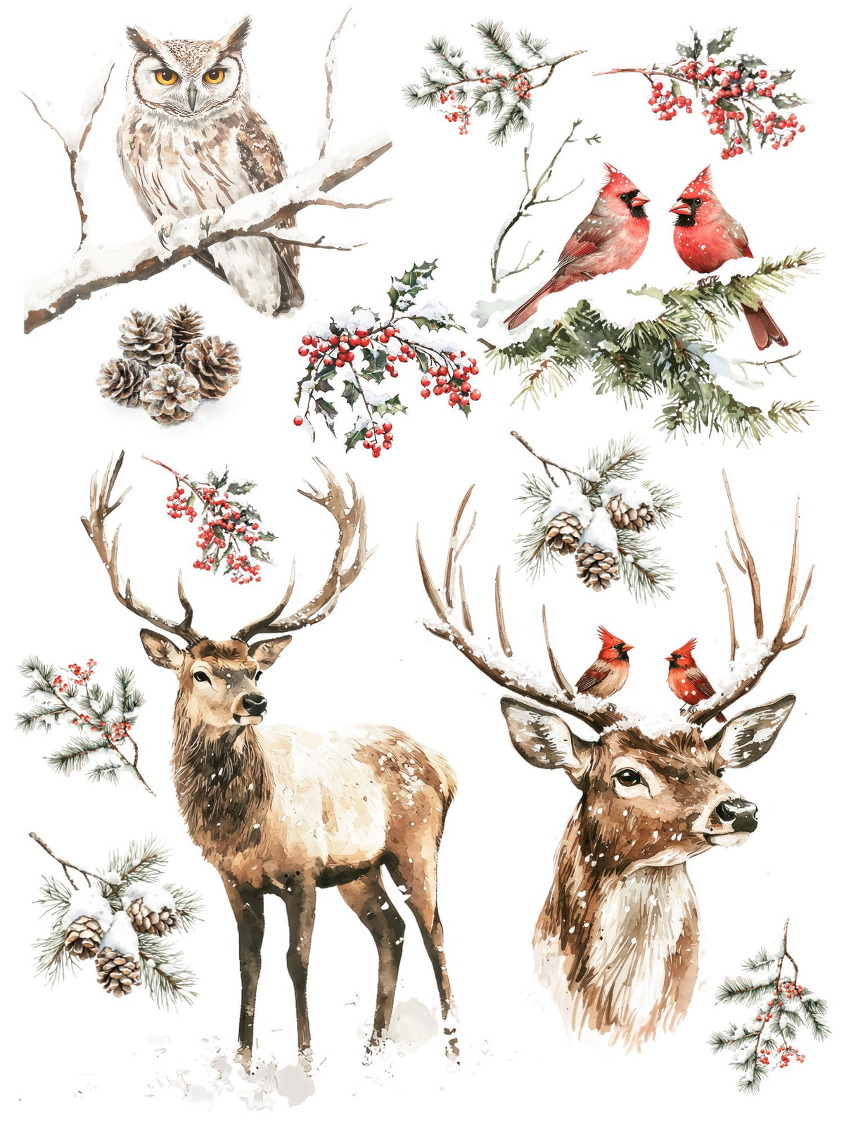 Winter Woodland Friends Rub-on Transfers-Rub-on Transfer-Essential Stencil