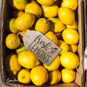 DIY reusable Lemon mini tag sign stencils, lemons mini sign stencils, sweet lemon farm lemon vintage truck stencil, be zesty stencil, fresh lemons 5 cents stencil, lemon tier tray sign stencils