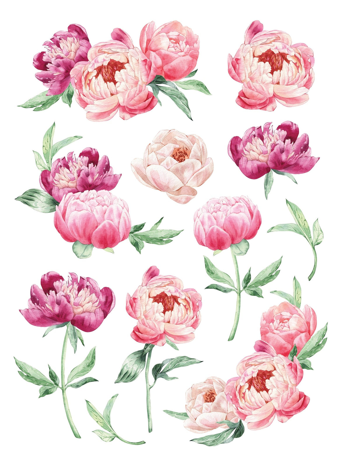 Spring Peonies Rub-on Transfer-Rub-on Transfer-Essential Stencil